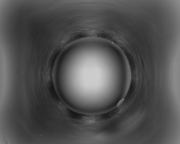 X0000084550131200703021514