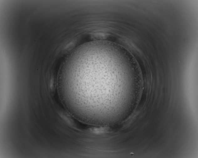 X0000084550134200703021514