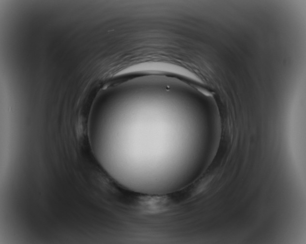 X0000084550135200703021514