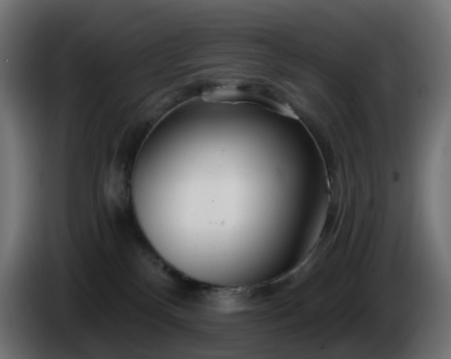 X0000084550136200703021514