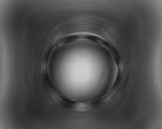 X0000084550141200703021514
