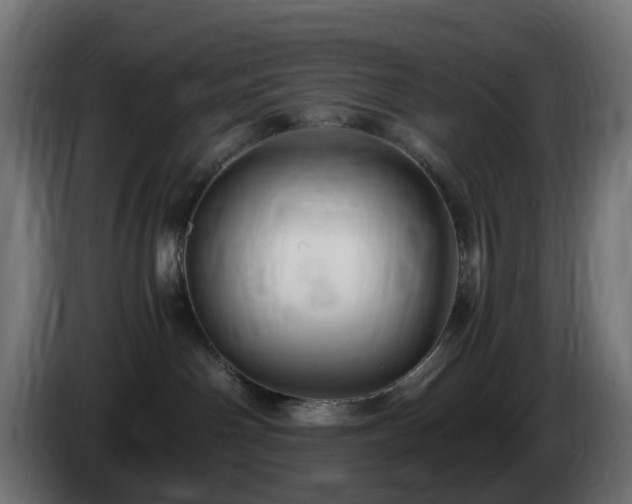 X0000084550142200703021514