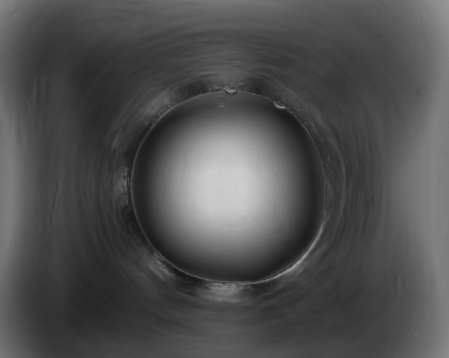 X0000084550144200703021514