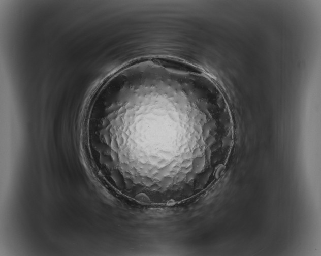 X0000084550145200703021513