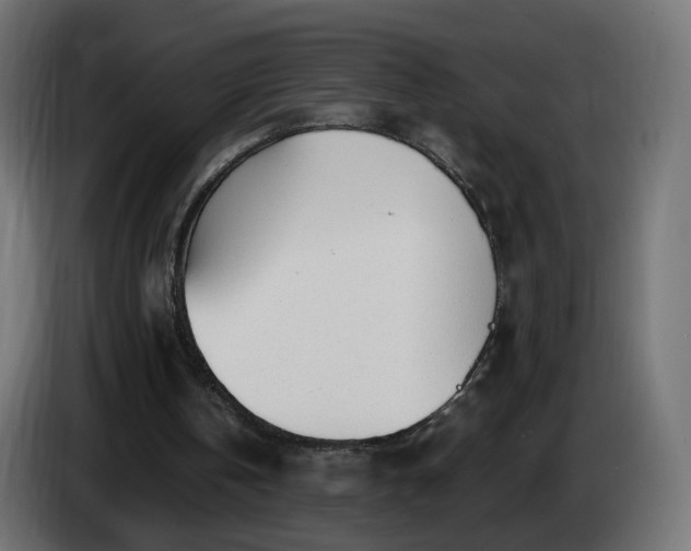 X0000084550146200703021513