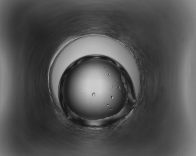 X0000084550148200703021513