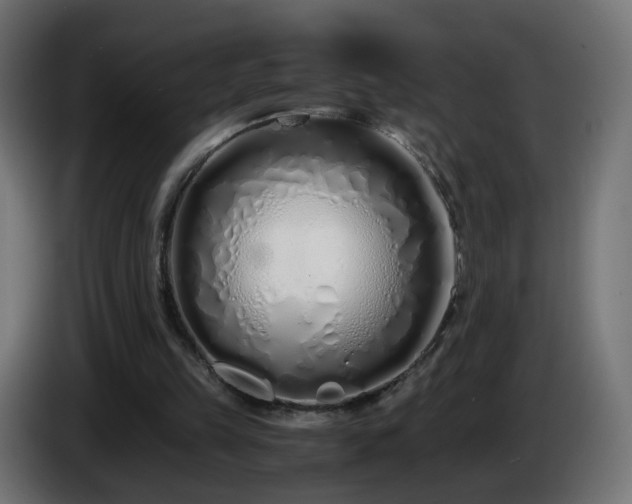 X0000084550149200703021513
