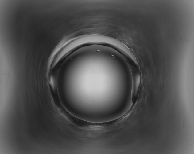 X0000084550150200703021513