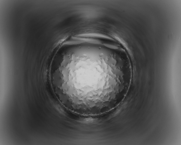 X0000084550153200703021513