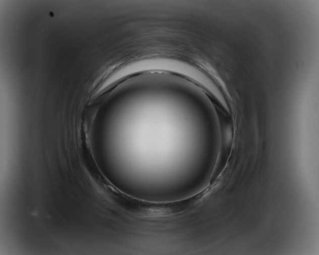 X0000084550154200703021513