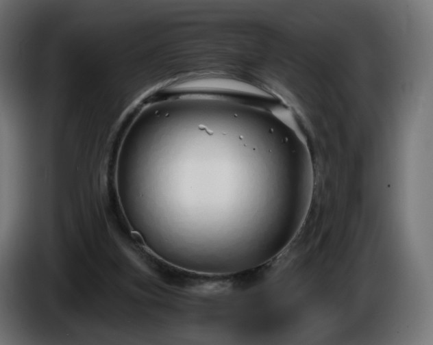 X0000084550155200703021513