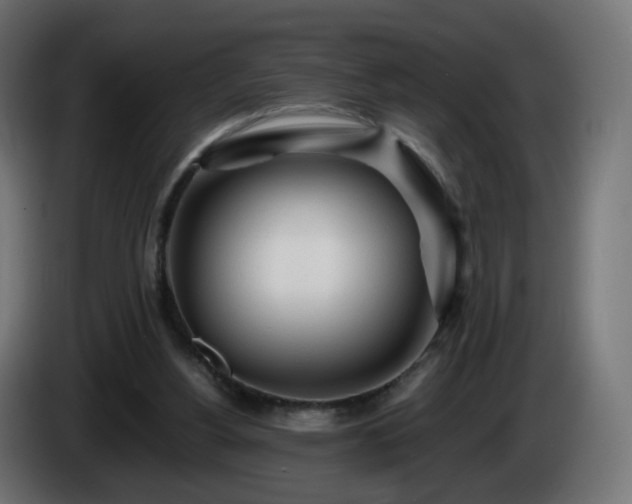 X0000084550156200703021513