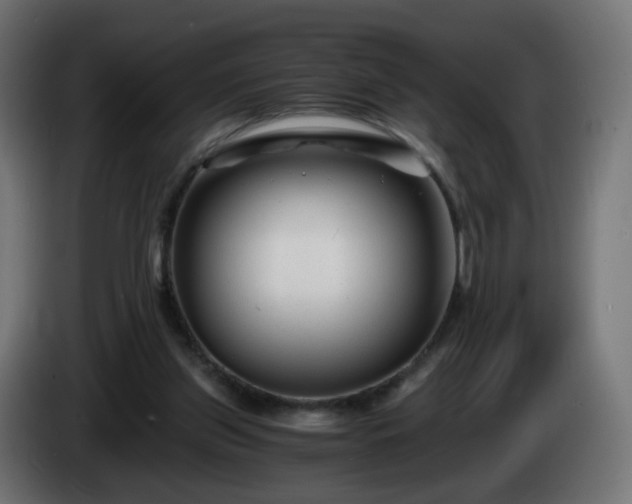 X0000084550157200703021513