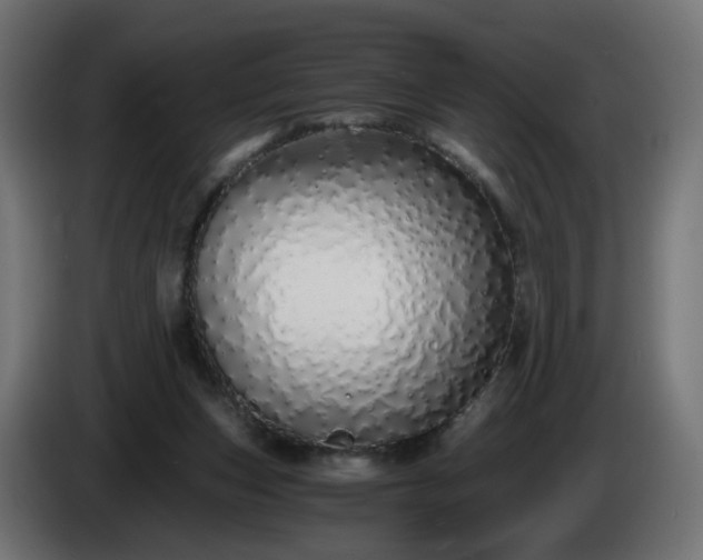 X0000084550159200703021514