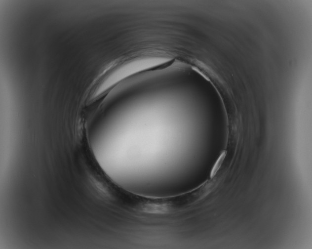 X0000084550160200703021514