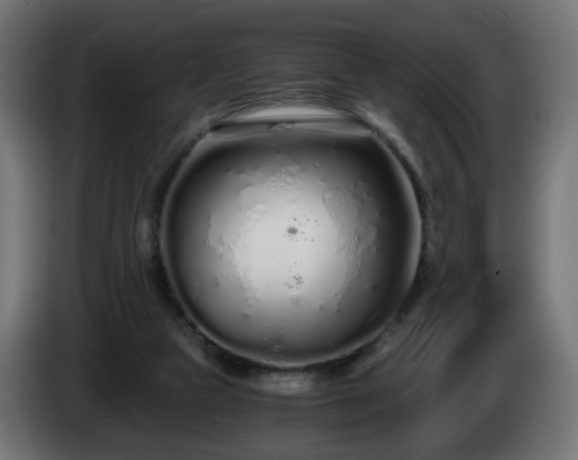 X0000084550161200703021514
