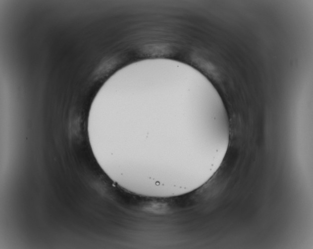 X0000084550162200703021514