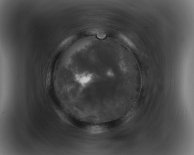 X0000084550163200703021514