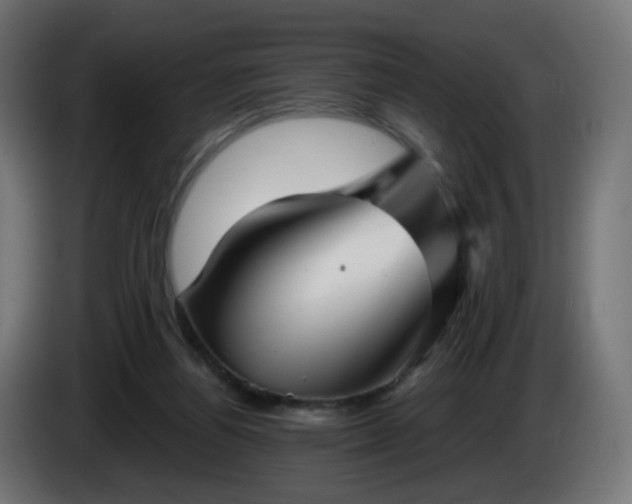 X0000084550164200703021514