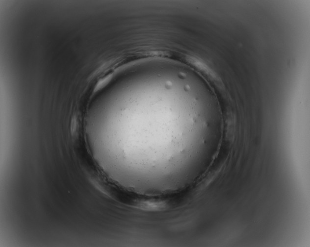 X0000084550165200703021514