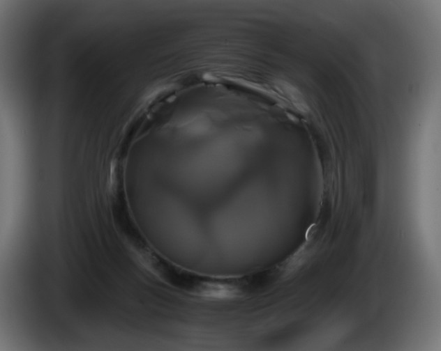 X0000084550167200703021514
