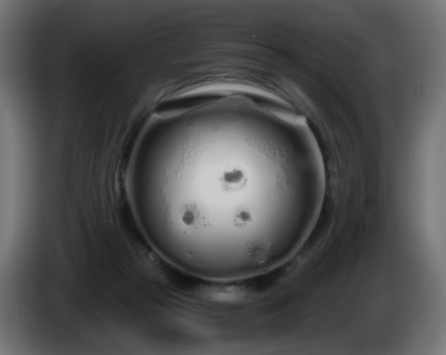 X0000084550169200703021514