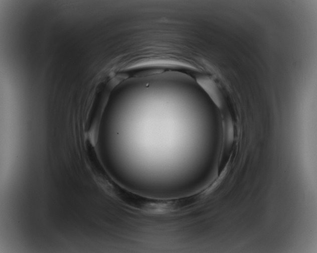 X0000084550170200703021514