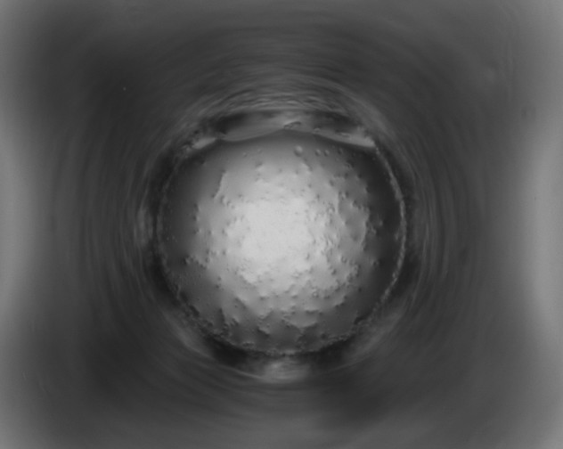 X0000084550173200703021514