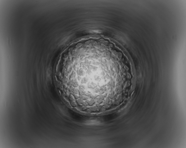 X0000084550175200703021514