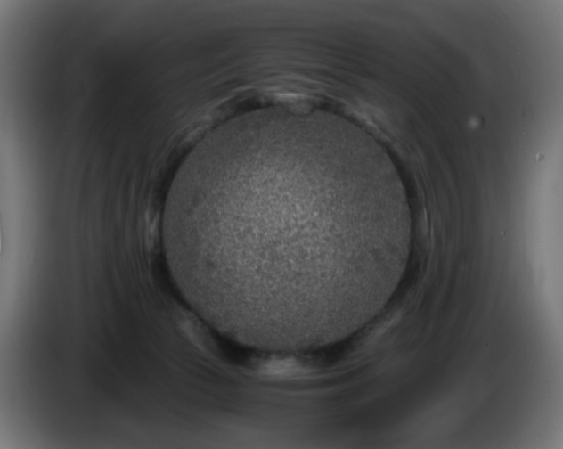 X0000084550177200703021514