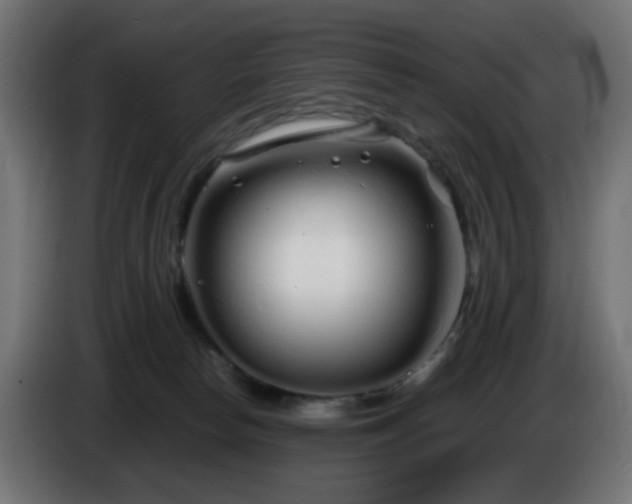 X0000084550178200703021514