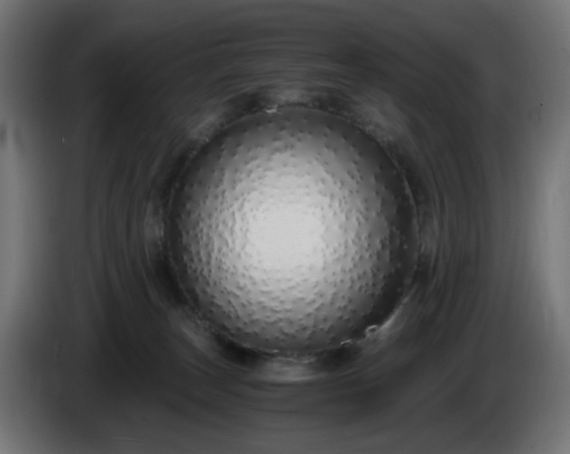 X0000084550179200703021514