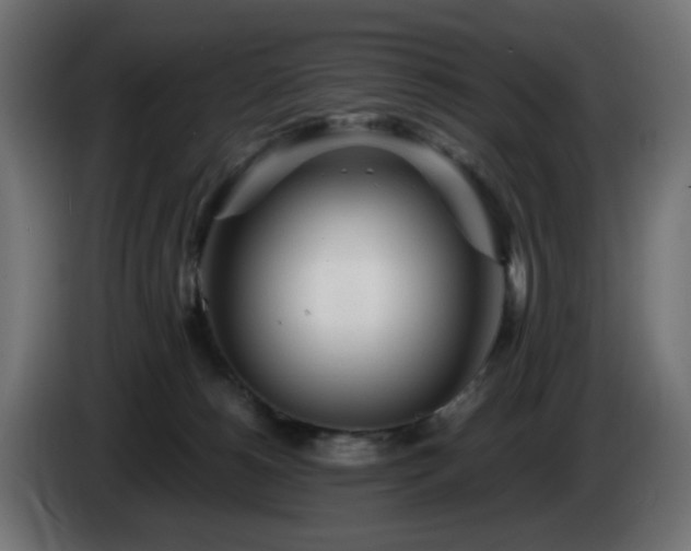 X0000084550180200703021514