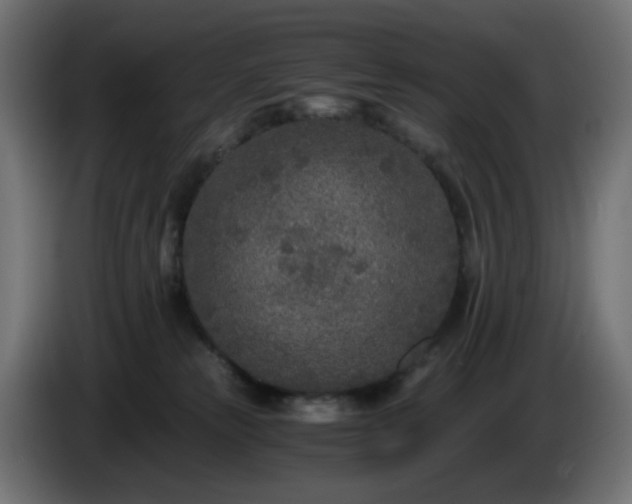 X0000084550181200703021514