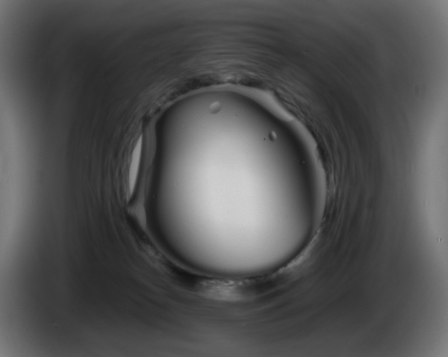X0000084550182200703021514