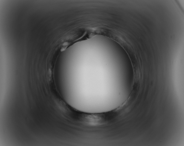 X0000084550183200703021514