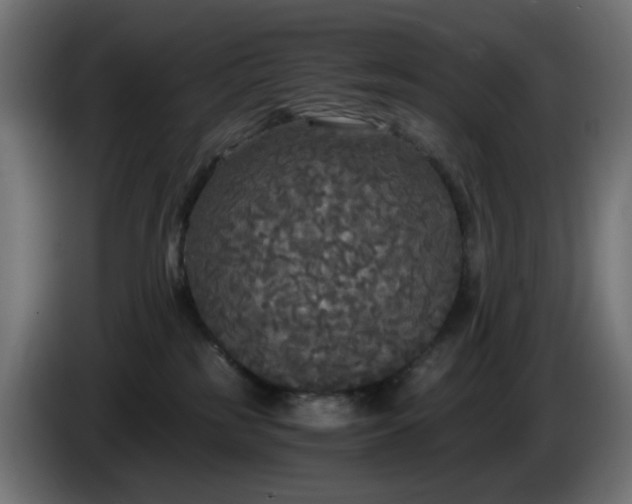X0000084550185200703021514