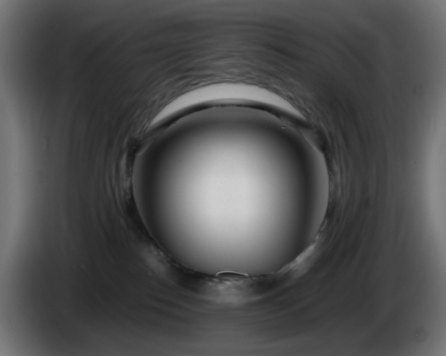 X0000084550186200703021514
