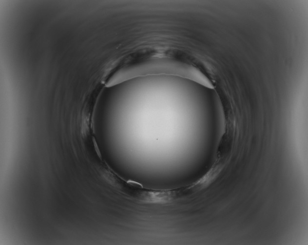 X0000084550188200703021514