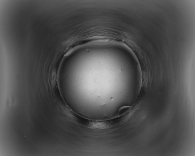 X0000084550189200703021514