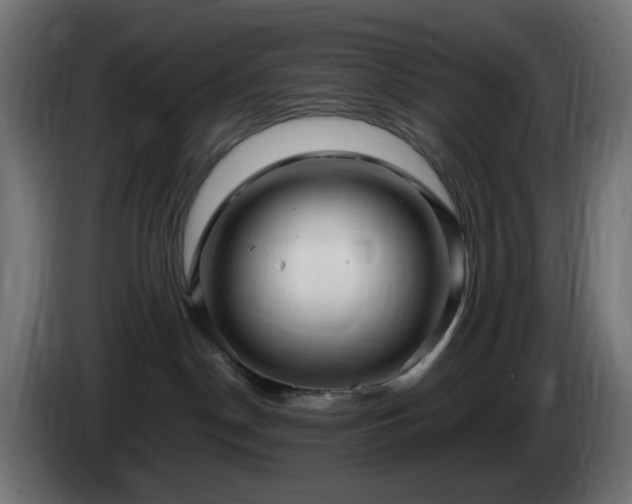 X0000084550190200703021514