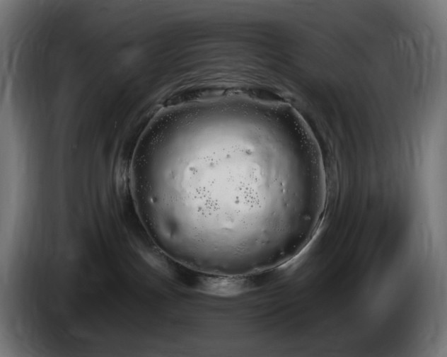 X0000084550191200703021514
