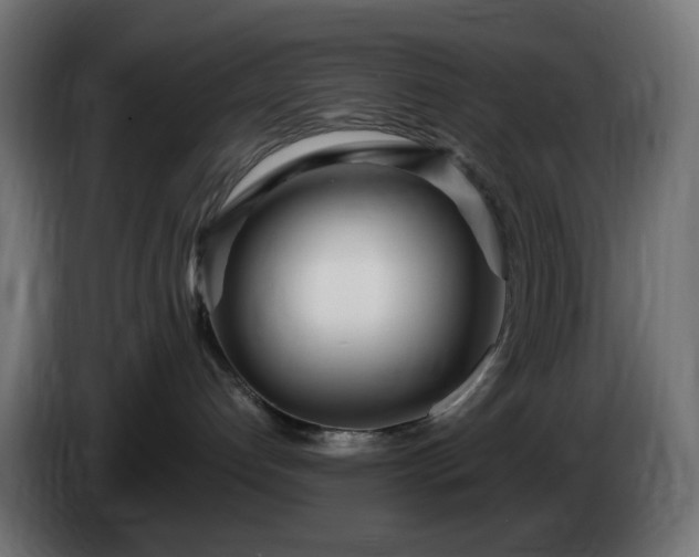 X0000084550192200703021514