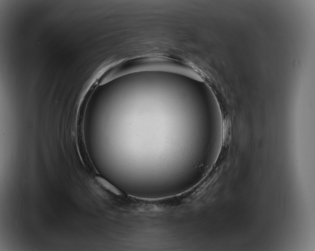 X0000084550195200703021513