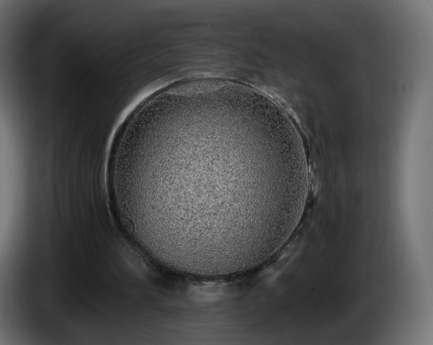 X0000084550196200703021513