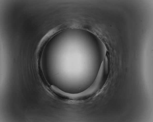 X0000084550197200703021513