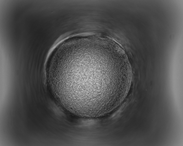 X0000084550198200703021513