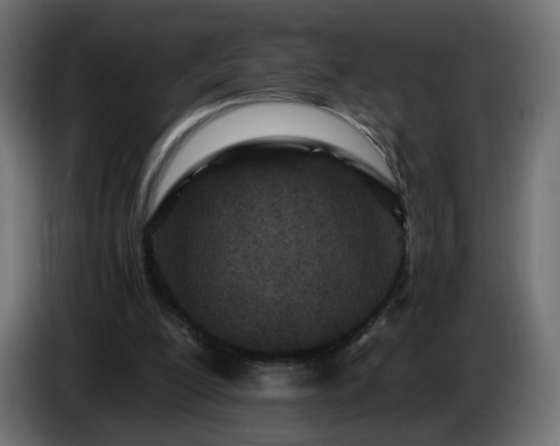 X0000084550200200703021513