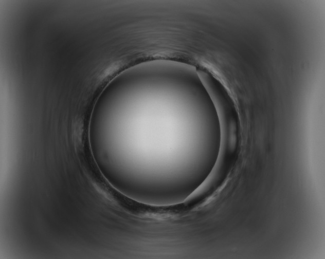 X0000084550201200703021513