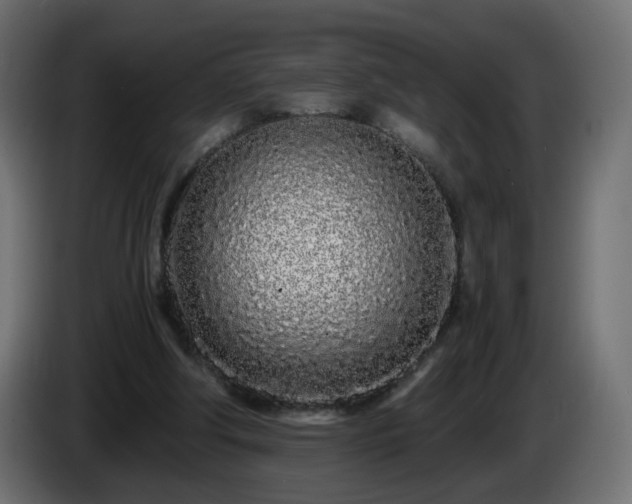 X0000084550202200703021513